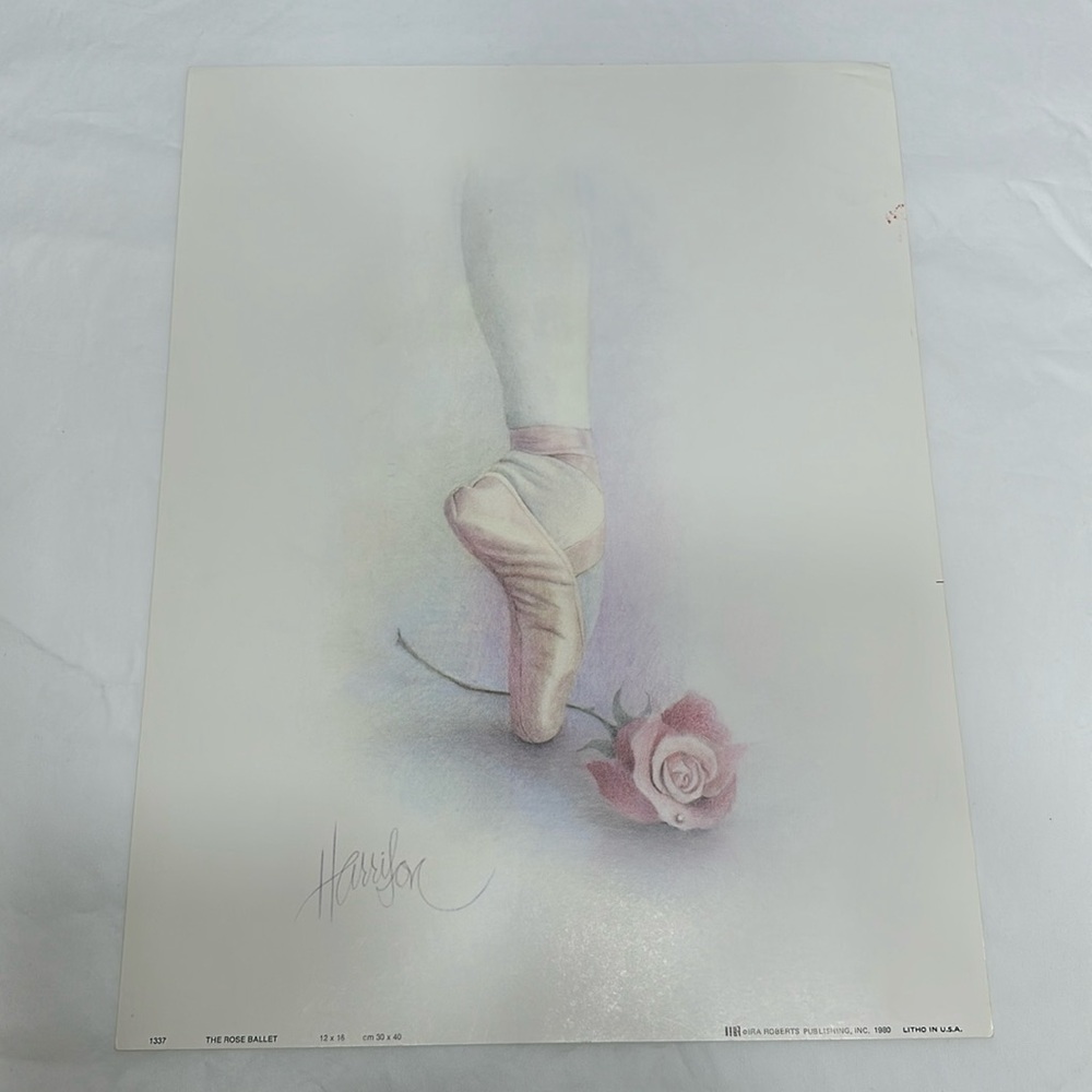 The Rose Ballet Toe Shoe Lithograph